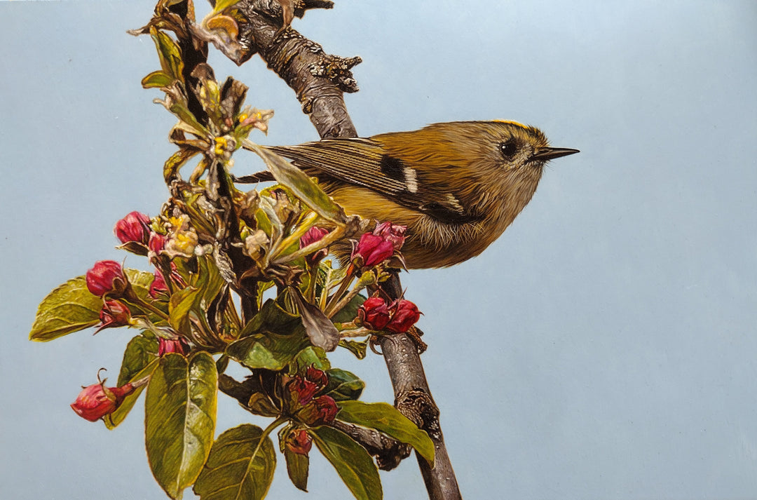 Hyperrealistic oil painting of a goldcrest perched on a blossom-covered branch, set against a soft blue background. The bird's golden crest and intricate feather detail are rendered with striking precision, accompanied by vivid red buds and lush green leaves.