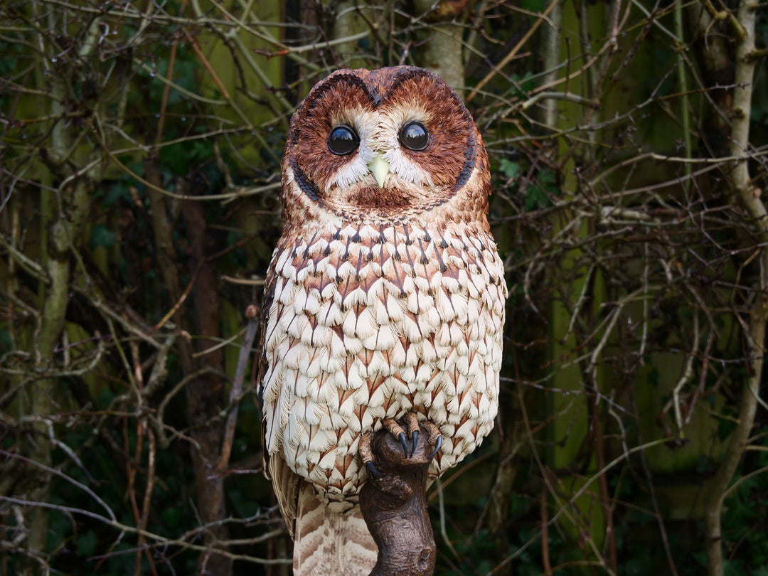 Nocturne tawny owl sculpture by Jamie Lord with layered archival paper feathers and cold cast bronze base on branch