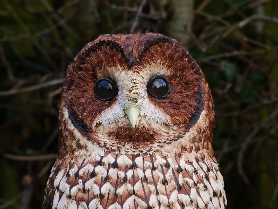 Nocturne tawny owl sculpture by Jamie Lord with layered archival paper feathers and cold cast bronze base on branch