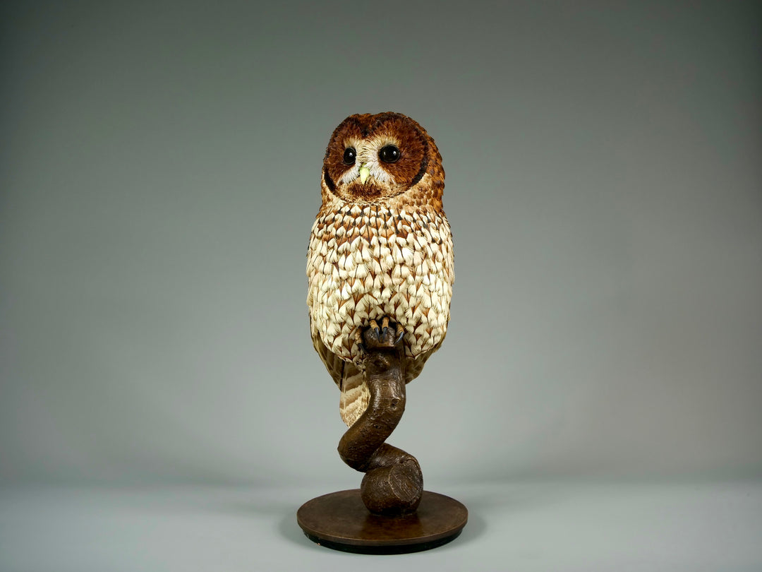 Nocturne tawny owl sculpture by Jamie Lord with layered archival paper feathers and cold cast bronze base on branch