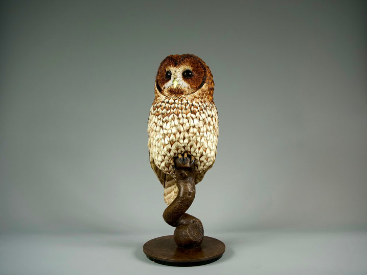 Nocturne tawny owl sculpture by Jamie Lord with layered archival paper feathers and cold cast bronze base on branch