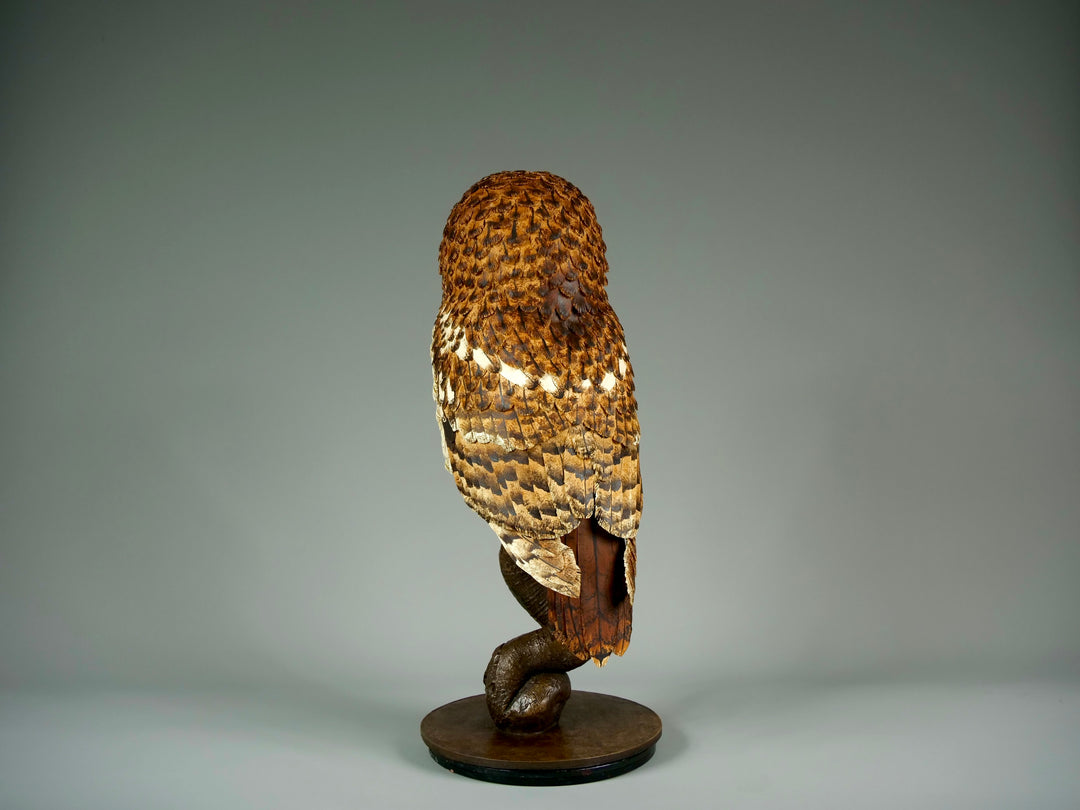 Nocturne tawny owl sculpture by Jamie Lord with layered archival paper feathers and cold cast bronze base on branch