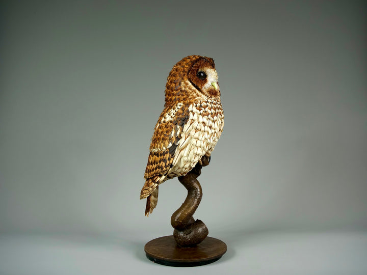 Nocturne tawny owl sculpture by Jamie Lord with layered archival paper feathers and cold cast bronze base on branch