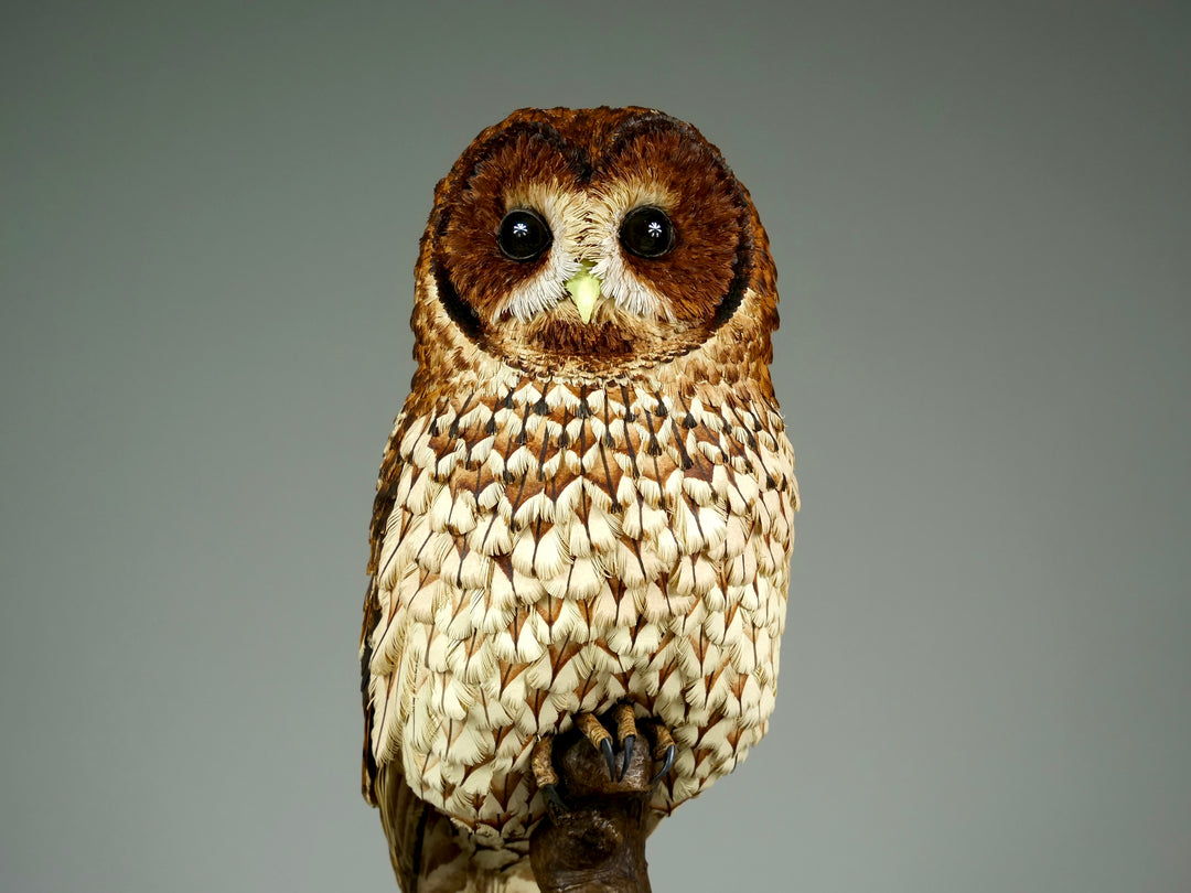 Nocturne tawny owl sculpture by Jamie Lord with layered archival paper feathers and cold cast bronze base on branch