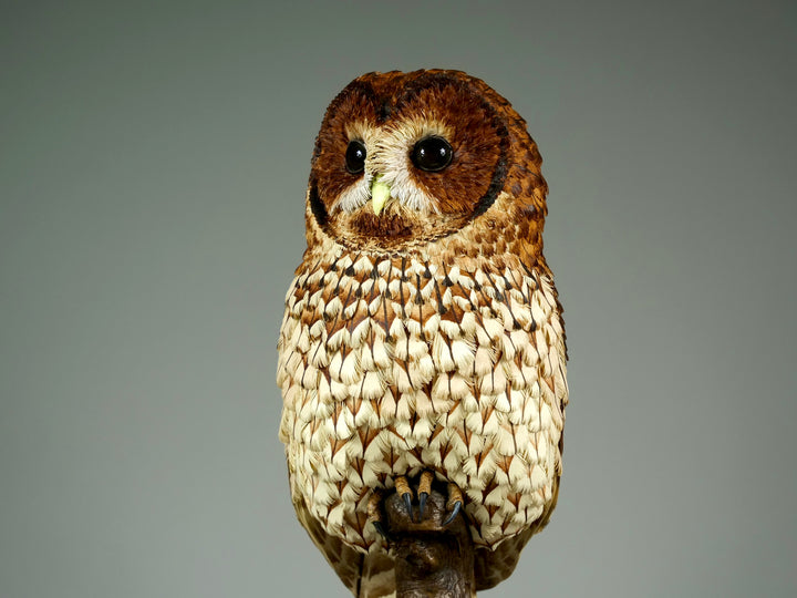 Nocturne tawny owl sculpture by Jamie Lord with layered archival paper feathers and cold cast bronze base on branch