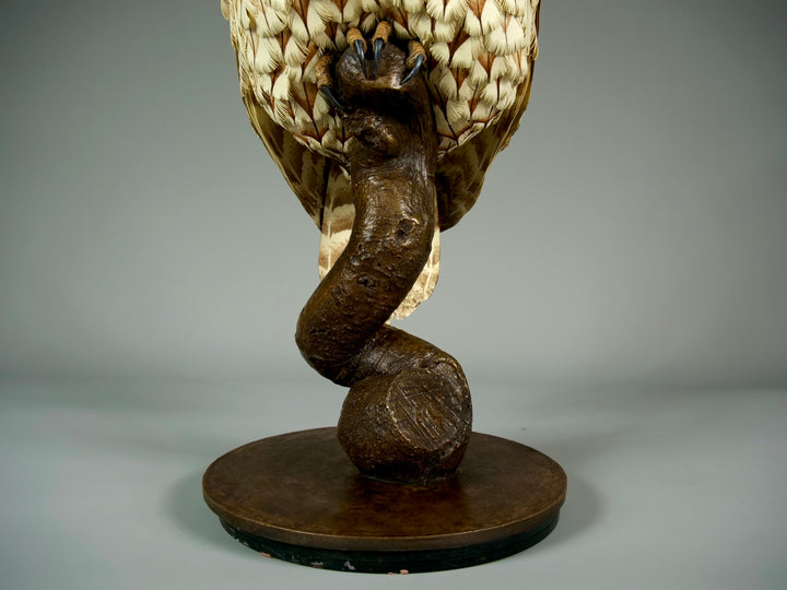 Nocturne tawny owl sculpture by Jamie Lord with layered archival paper feathers and cold cast bronze base on branch