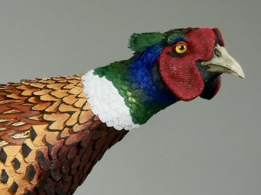 Running pheasant sculpture by Jamie Lord with layered hand-cut archival paper feathers on oak base, mixed media British wildlife artwork from The Collective Collection wall art