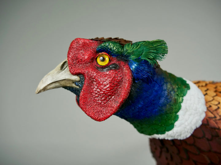 Running pheasant sculpture by Jamie Lord with layered hand-cut archival paper feathers on oak base, mixed media British wildlife artwork from The Collective Collection wall art