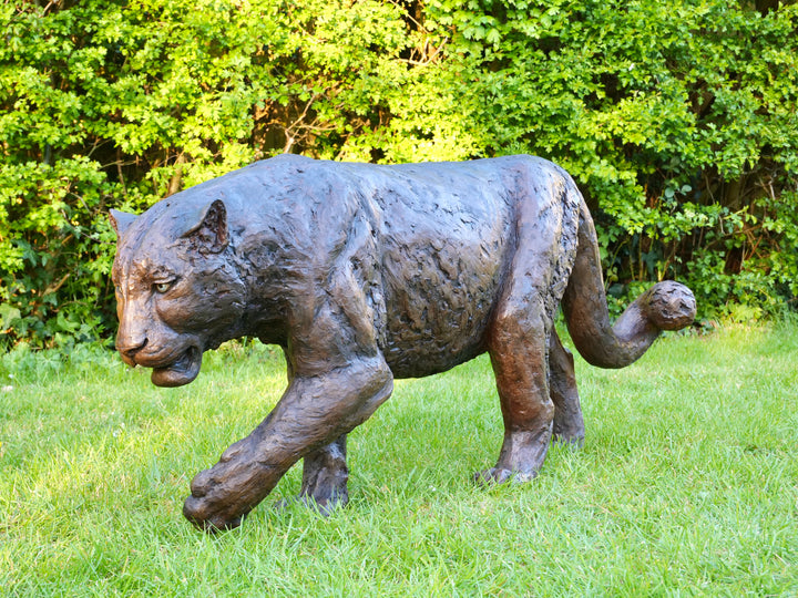 ‘Bloodline’ Amur leopard sculpture by Jamie Lord, life-size cold cast bronze of a leopard walking mid-stride with raised paw, textured dark bronze surface set outdoors on grass against green foliage