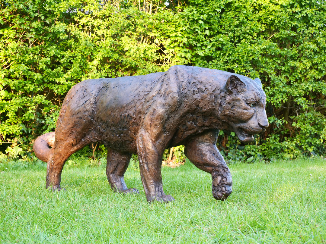 ‘Bloodline’ Amur leopard sculpture by Jamie Lord, life-size cold cast bronze of a leopard walking mid-stride with raised paw, textured dark bronze surface set outdoors on grass against green foliage