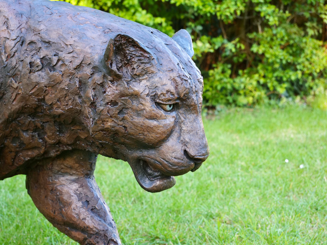 ‘Bloodline’ Amur leopard sculpture by Jamie Lord, life-size cold cast bronze of a leopard walking mid-stride with raised paw, textured dark bronze surface set outdoors on grass against green foliage