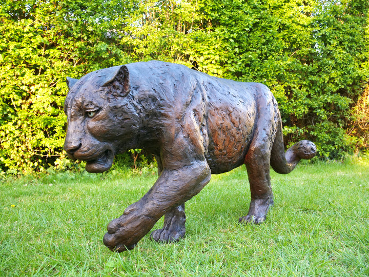 ‘Bloodline’ Amur leopard sculpture by Jamie Lord, life-size cold cast bronze of a leopard walking mid-stride with raised paw, textured dark bronze surface set outdoors on grass against green foliage