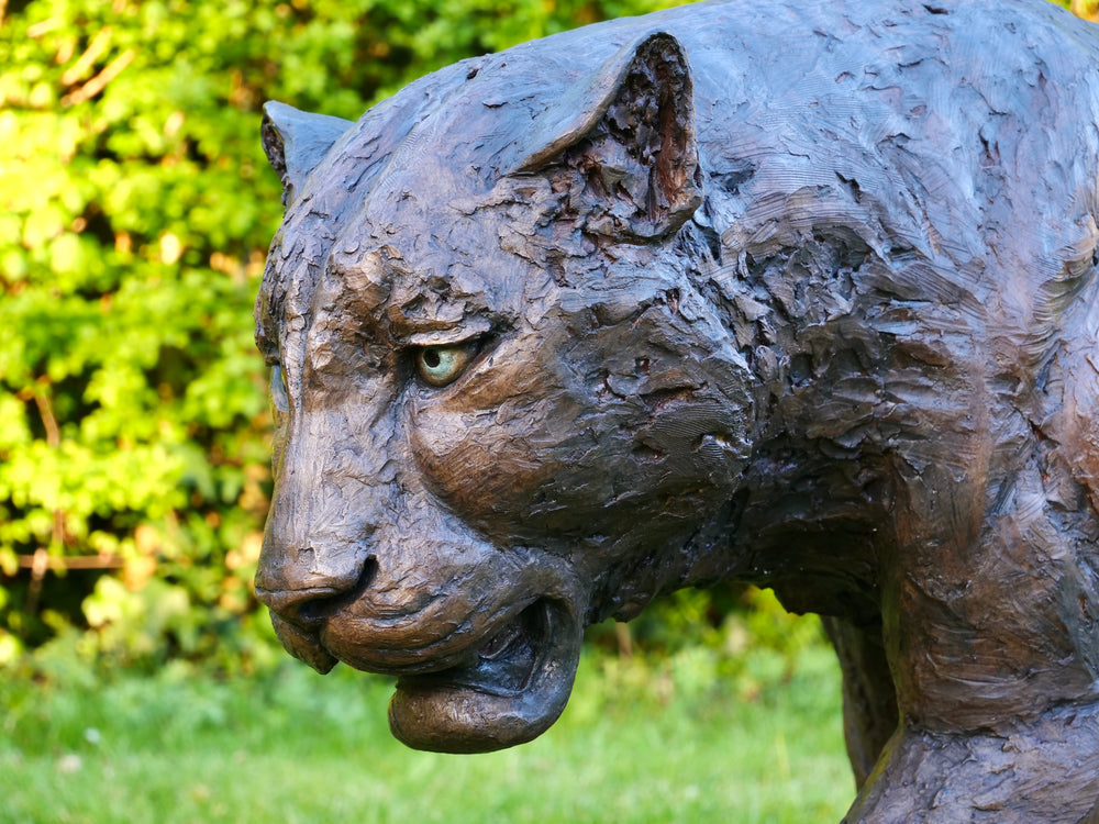 ‘Bloodline’ Amur leopard sculpture by Jamie Lord, life-size cold cast bronze of a leopard walking mid-stride with raised paw, textured dark bronze surface set outdoors on grass against green foliage