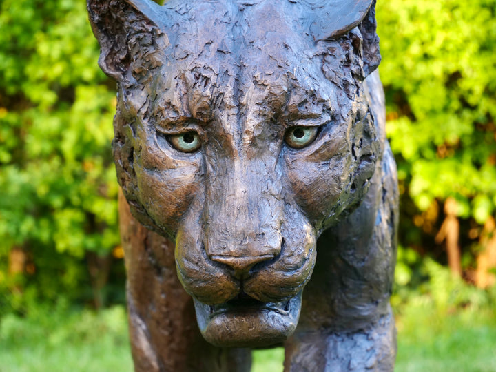 ‘Bloodline’ Amur leopard sculpture by Jamie Lord, life-size cold cast bronze of a leopard walking mid-stride with raised paw, textured dark bronze surface set outdoors on grass against green foliage