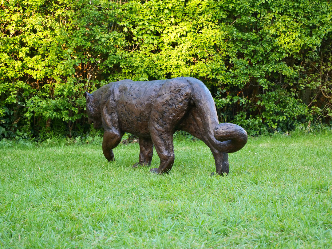 ‘Bloodline’ Amur leopard sculpture by Jamie Lord, life-size cold cast bronze of a leopard walking mid-stride with raised paw, textured dark bronze surface set outdoors on grass against green foliage