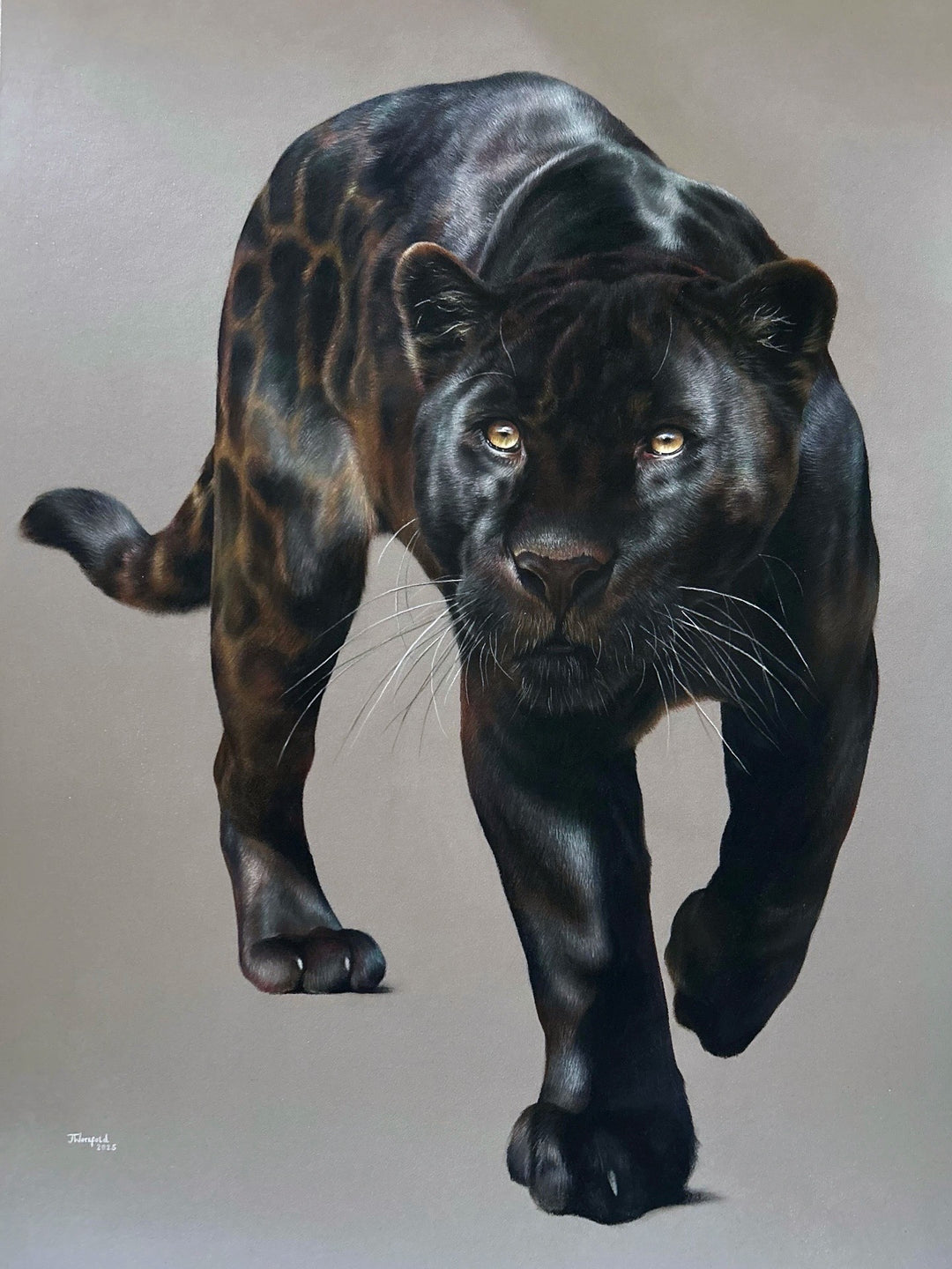 Jemma Worsfold’s Silent Shadow, hyper-real coloured pencil portrait of Neron the melanistic jaguar, golden eyes fixed ahead, sleek black coat with bronze-brown ghost rosettes, on dark grey pastelmat, capturing power, elegance, and predatory grace.