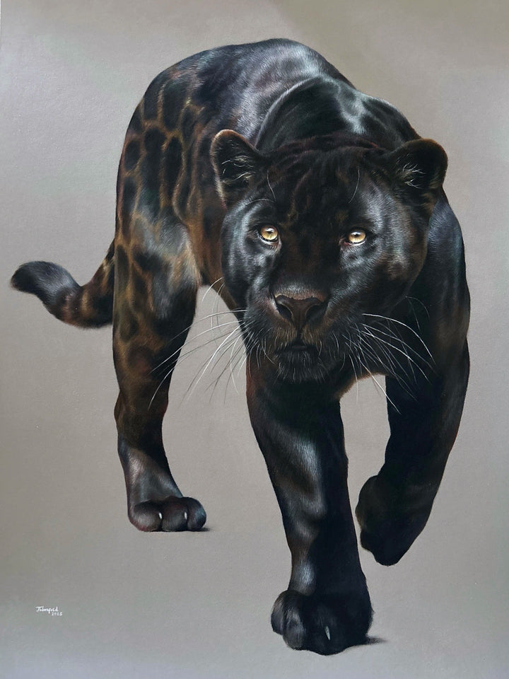Jemma Worsfold’s Silent Shadow, hyper-real coloured pencil portrait of Neron the melanistic jaguar, golden eyes fixed ahead, sleek black coat with bronze-brown ghost rosettes, on dark grey pastelmat, capturing power, elegance, and predatory grace.