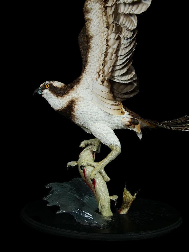 A dramatic paper sculpture of an osprey mid-flight, wings fully extended, clutching a rainbow trout in its talons. Featuring hand-cut, painted feathers in rich browns, creams, and ochres, with a vivid yellow eye and bold red markings on the fish. Set on a sculpted base representing water, with a fine outline of Scotland etched into the resin.