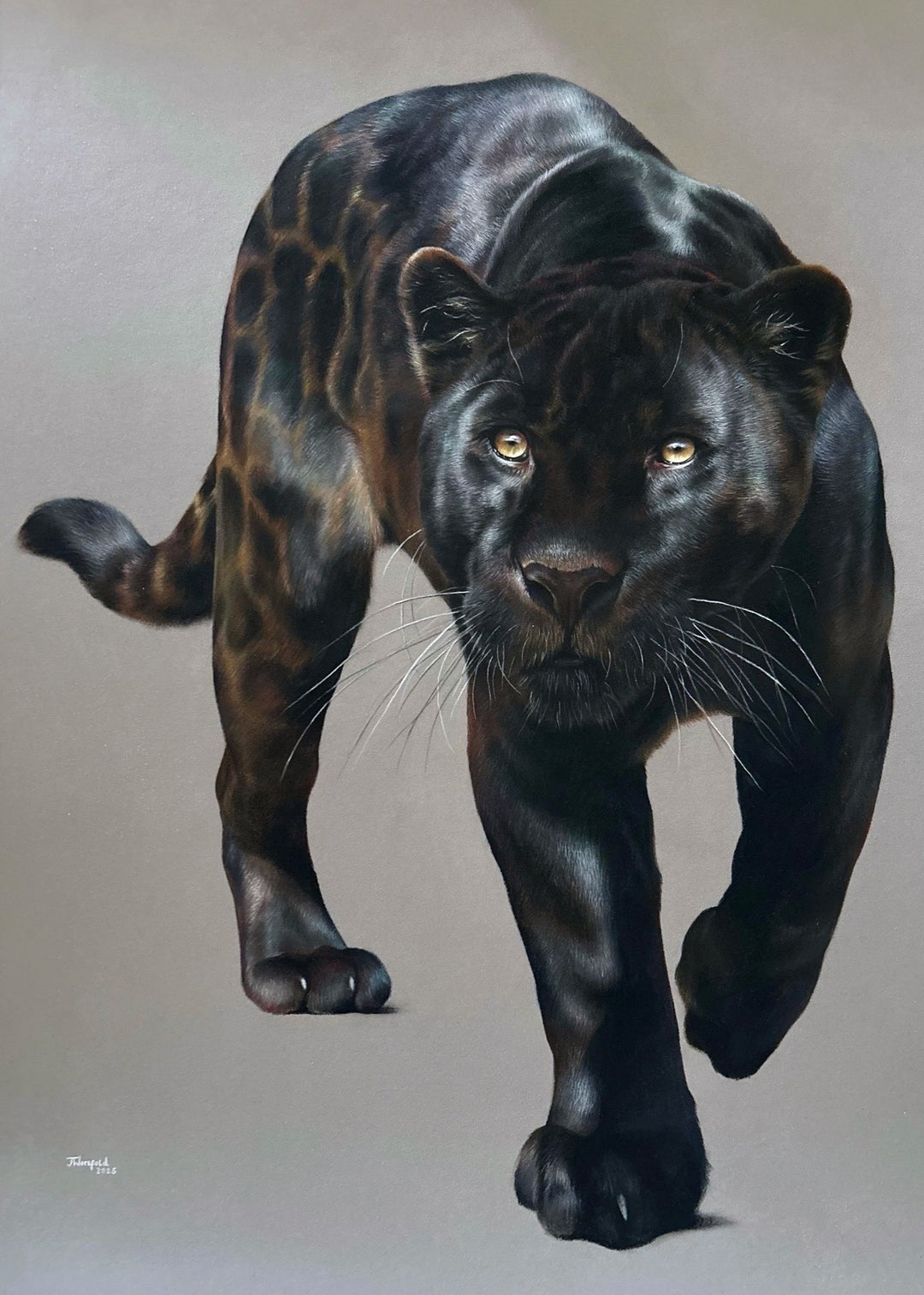 Jemma Worsfold’s Silent Shadow, hyper-real coloured pencil portrait of Neron the melanistic jaguar, golden eyes fixed ahead, sleek black coat with bronze-brown ghost rosettes, on dark grey pastelmat, capturing power, elegance, and predatory grace.