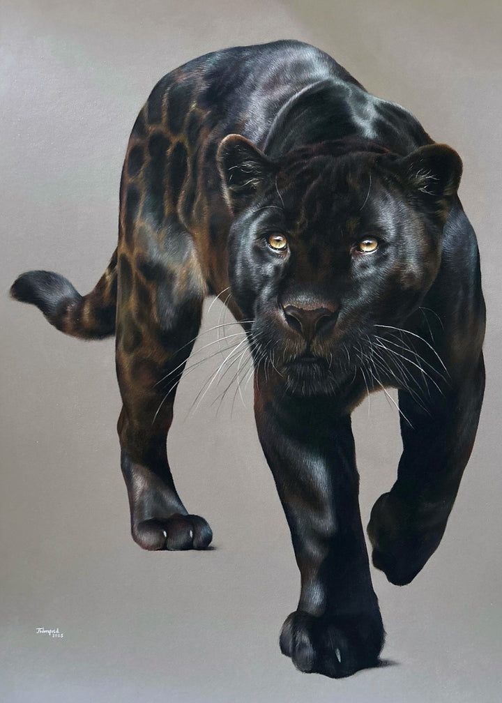 Jemma Worsfold’s Silent Shadow, hyper-real coloured pencil portrait of Neron the melanistic jaguar, golden eyes fixed ahead, sleek black coat with bronze-brown ghost rosettes, on dark grey pastelmat, capturing power, elegance, and predatory grace.