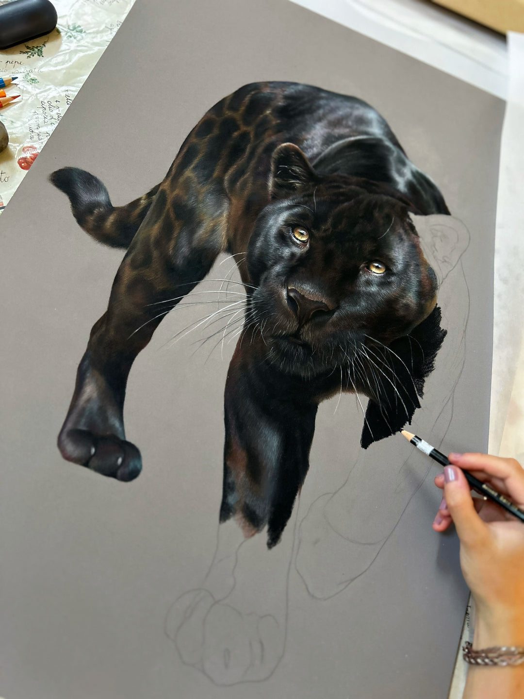 Jemma Worsfold’s Silent Shadow, hyper-real coloured pencil portrait of Neron the melanistic jaguar, golden eyes fixed ahead, sleek black coat with bronze-brown ghost rosettes, on dark grey pastelmat, capturing power, elegance, and predatory grace.