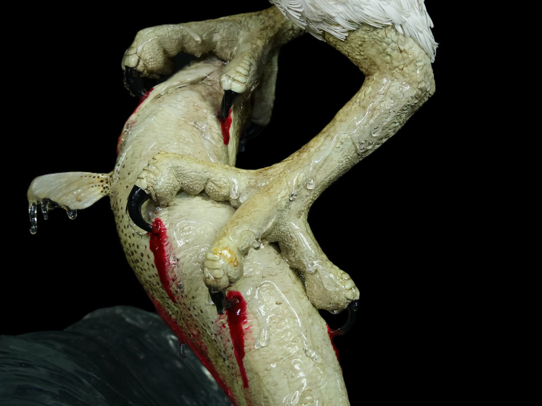 A dramatic paper sculpture of an osprey mid-flight, wings fully extended, clutching a rainbow trout in its talons. Featuring hand-cut, painted feathers in rich browns, creams, and ochres, with a vivid yellow eye and bold red markings on the fish. Set on a sculpted base representing water, with a fine outline of Scotland etched into the resin.