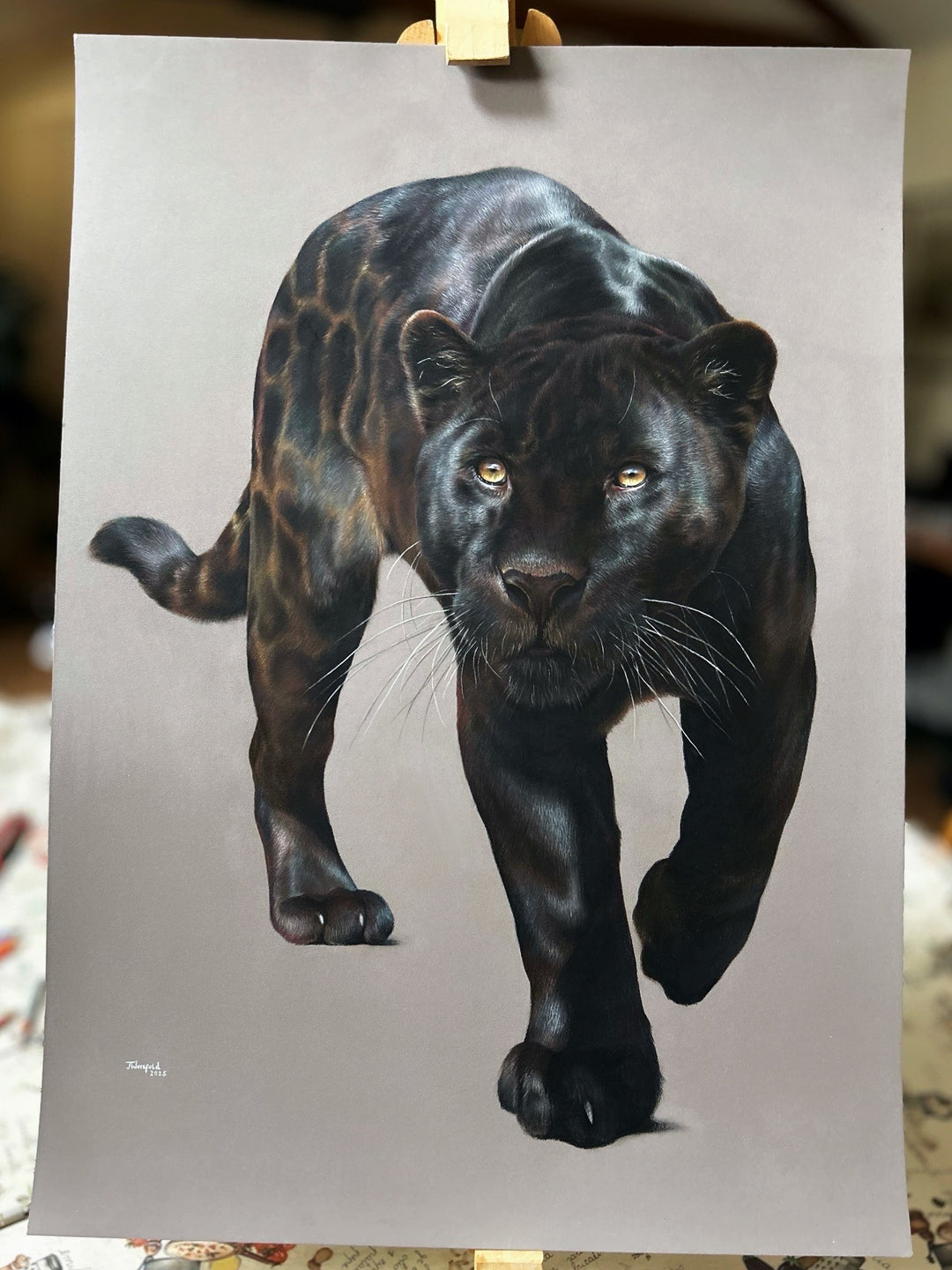 Jemma Worsfold’s Silent Shadow, hyper-real coloured pencil portrait of Neron the melanistic jaguar, golden eyes fixed ahead, sleek black coat with bronze-brown ghost rosettes, on dark grey pastelmat, capturing power, elegance, and predatory grace.
