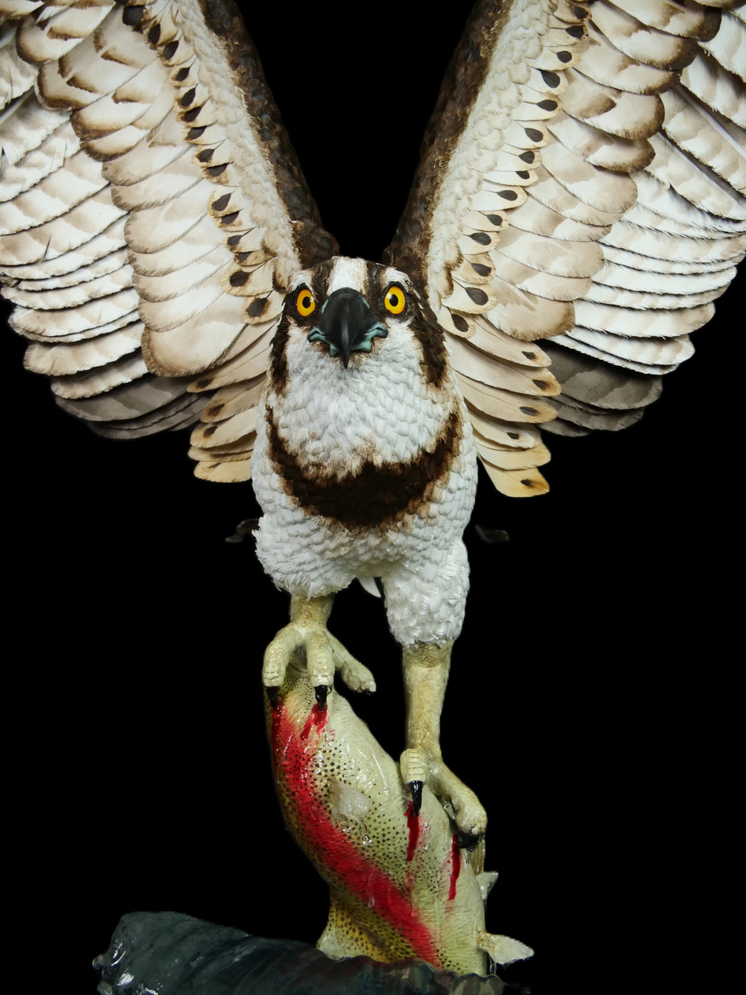 A dramatic paper sculpture of an osprey mid-flight, wings fully extended, clutching a rainbow trout in its talons. Featuring hand-cut, painted feathers in rich browns, creams, and ochres, with a vivid yellow eye and bold red markings on the fish. Set on a sculpted base representing water, with a fine outline of Scotland etched into the resin.