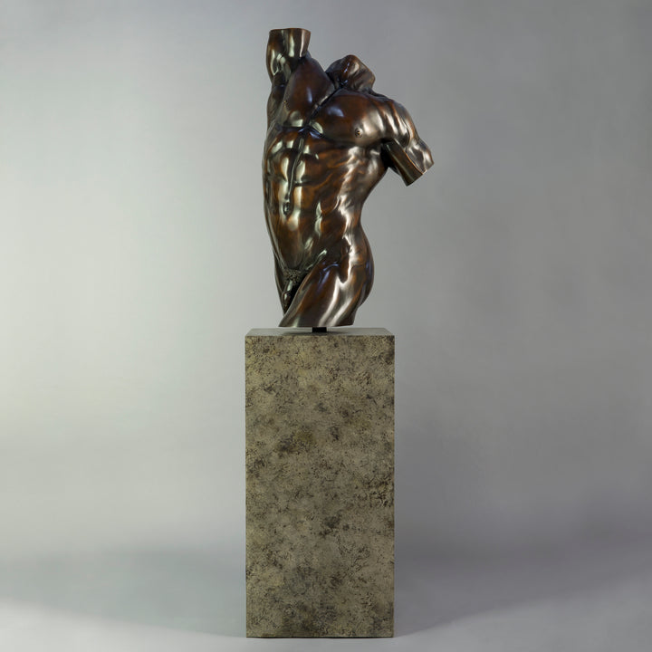 A powerful bronze torso sculpture by Nick Bibby, depicting Apollo with precise classical anatomy, a rich dark-bronze patina, and an upward twisting form displayed on a bronze plinth.
