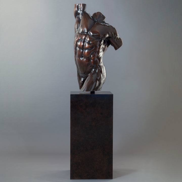 A powerful bronze torso sculpture by Nick Bibby, depicting Apollo with precise classical anatomy, a rich dark-bronze patina, and an upward twisting form displayed on a bronze plinth.