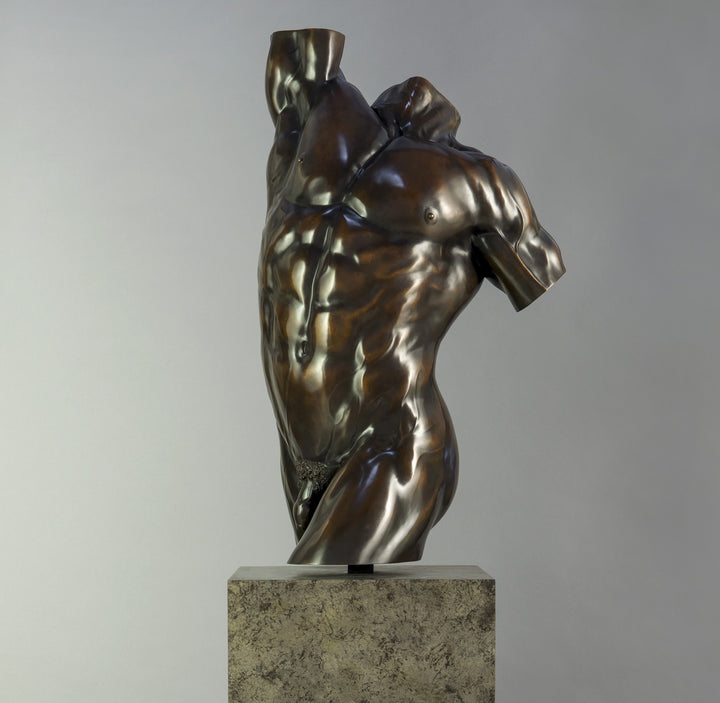 A powerful bronze torso sculpture by Nick Bibby, depicting Apollo with precise classical anatomy, a rich dark-bronze patina, and an upward twisting form displayed on a bronze plinth.