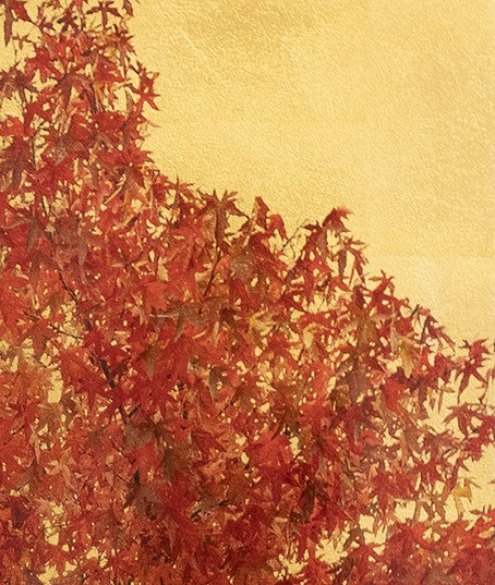 Fine art photographic print of an Acer triflorium tree in full autumn colour, vivid red and burnt orange leaves set against a shimmering gold background. Created using acrylic paint and organic photographic pigment, this mixed media botanical artwork captures the beauty of seasonal change with a rich, luminous finish.