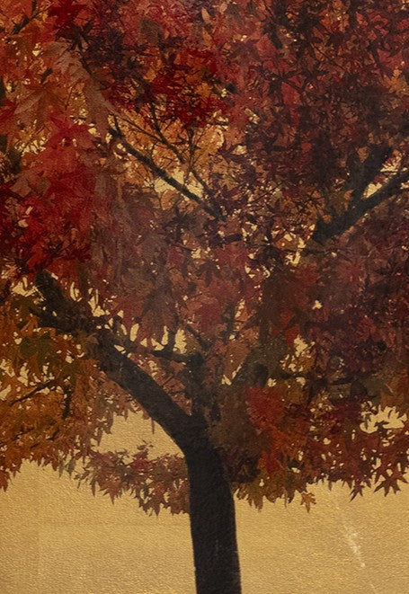 Fine art photographic print of an Acer triflorium tree in full autumn colour, vivid red and burnt orange leaves set against a shimmering gold background. Created using acrylic paint and organic photographic pigment, this mixed media botanical artwork captures the beauty of seasonal change with a rich, luminous finish.