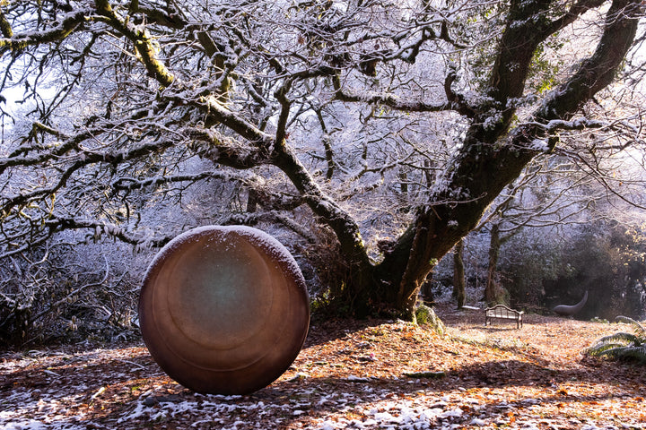 Large circular bronze sculpture Aegean Moon by Dominic Welch, with a luminous verdigris centre fading into warm bronze tones. The surface has subtle textural rings, evoking the phases of the moon. Displayed outdoors among woodland and seasonal landscapes, the piece radiates presence and calm.