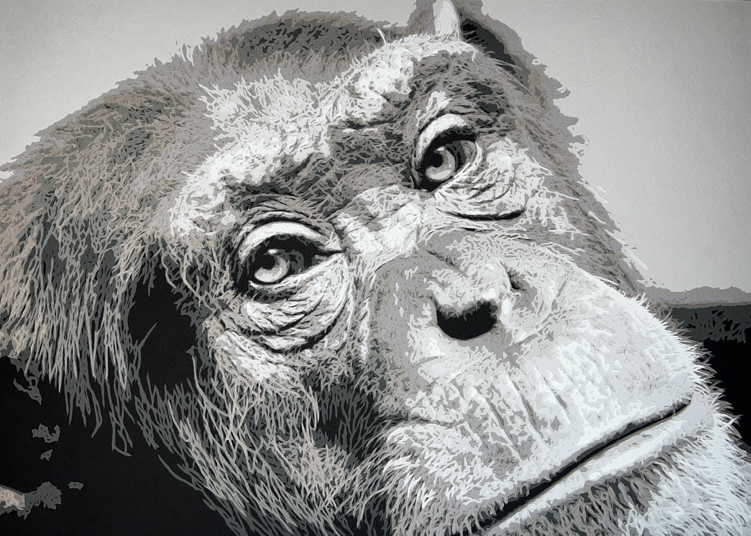 Hand-cut paper artwork of a West African chimpanzee, capturing the soulful depth of her eyes and expressive face. Layered in soft greys, ivory, and charcoal tones, the piece radiates intelligence and empathy, framed in black wood with UV-protective art glass.