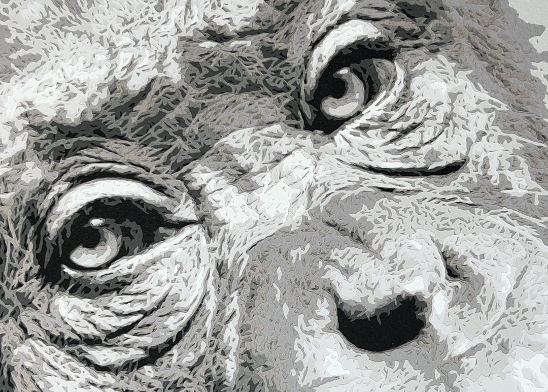 Hand-cut paper artwork of a West African chimpanzee, capturing the soulful depth of her eyes and expressive face. Layered in soft greys, ivory, and charcoal tones, the piece radiates intelligence and empathy, framed in black wood with UV-protective art glass.