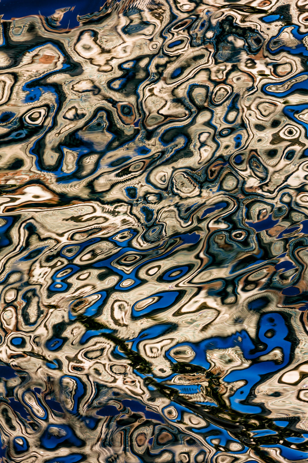 Abstract reflection on water with swirling organic shapes and layered distortions in shades of cream, black, and blue.