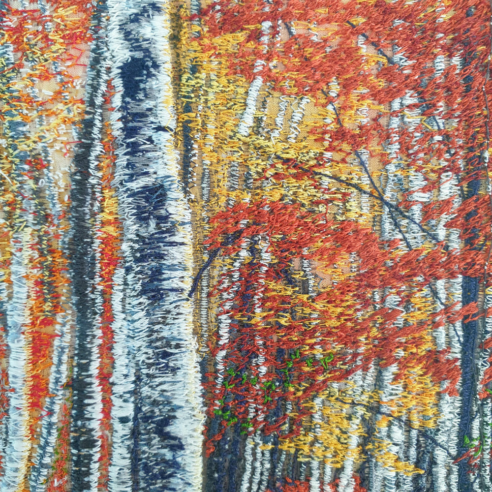 Dense embroidered birch forest in full autumn colour with fiery red, orange, and golden yellow foliage above a grassy woodland floor.