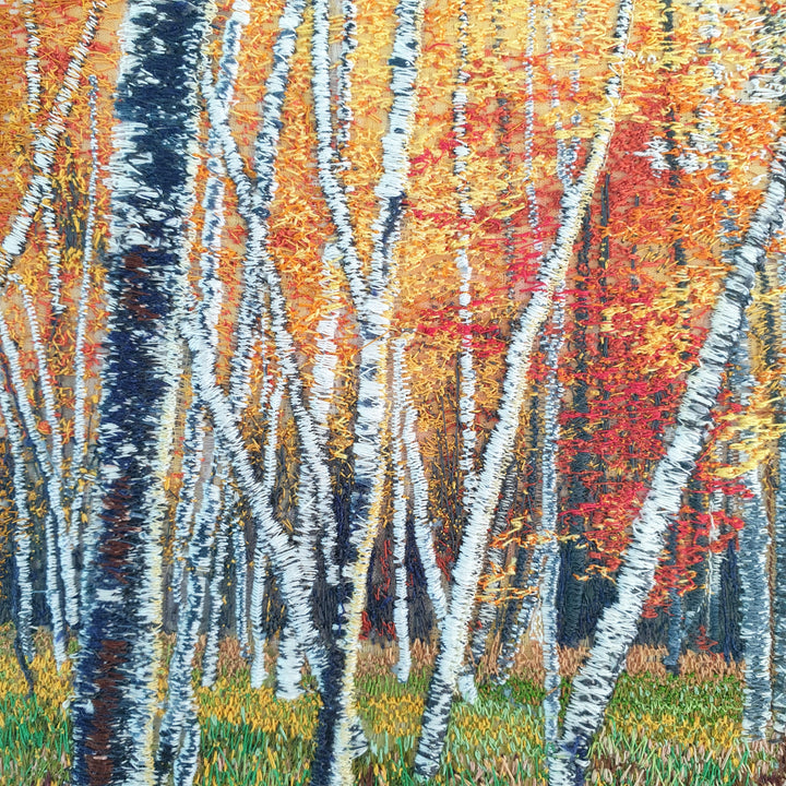 Dense embroidered birch forest in full autumn colour with fiery red, orange, and golden yellow foliage above a grassy woodland floor.