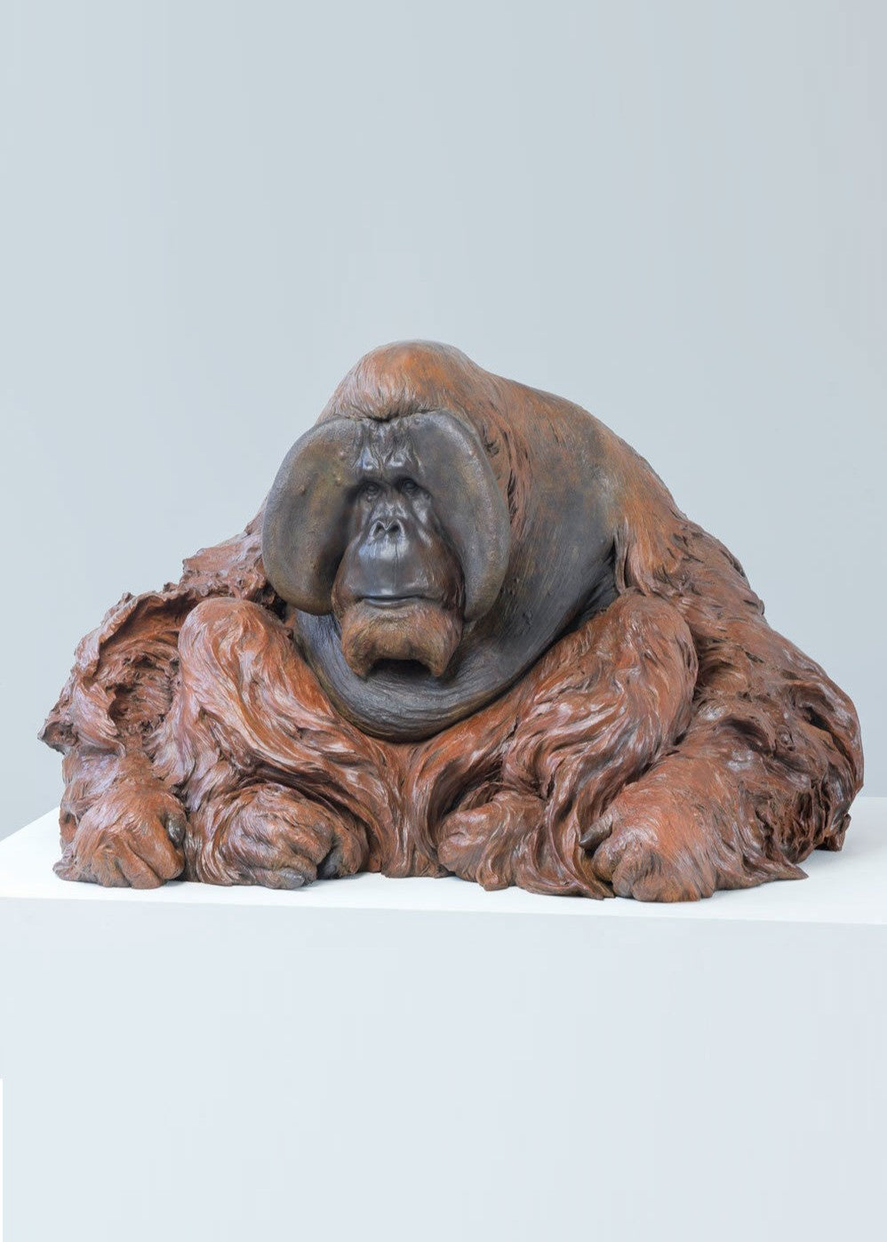A life-size bronze portrait of a Sumatran orangutan, modelled with powerful realism and warm patinated tones, capturing the animal’s strength, intelligence and contemplative presence with remarkable sculptural depth.