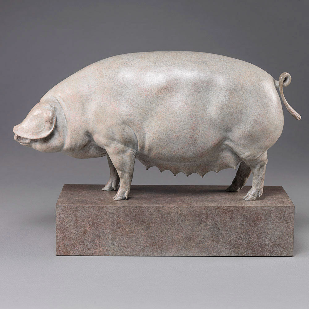 A finely sculpted bronze British Lop pig by Nick Bibby, shown with a soft white and pink-tinted patina that highlights the breed’s gentle curves, leaf-like ears and balanced form, presented on a stone-toned plinth.