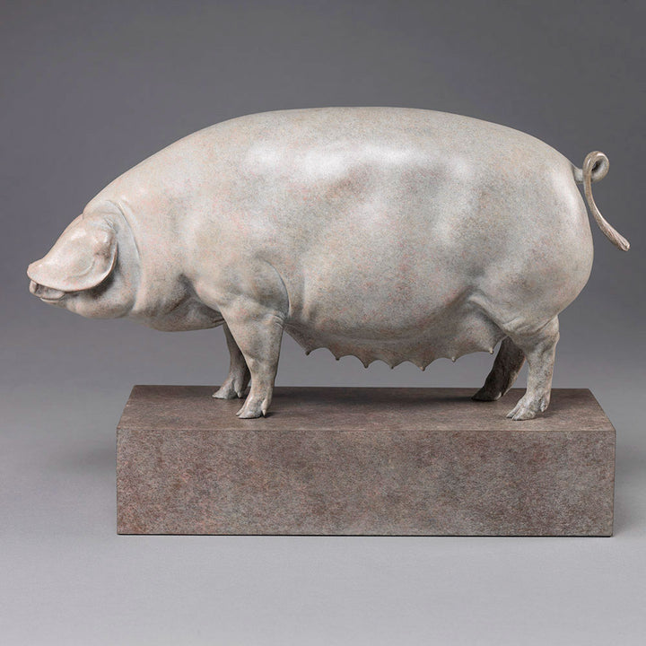 A finely sculpted bronze British Lop pig by Nick Bibby, shown with a soft white and pink-tinted patina that highlights the breed’s gentle curves, leaf-like ears and balanced form, presented on a stone-toned plinth.