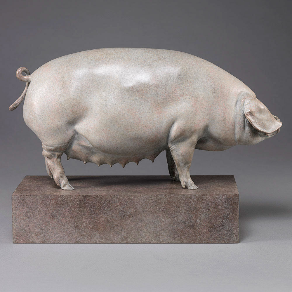 A finely sculpted bronze British Lop pig by Nick Bibby, shown with a soft white and pink-tinted patina that highlights the breed’s gentle curves, leaf-like ears and balanced form, presented on a stone-toned plinth.