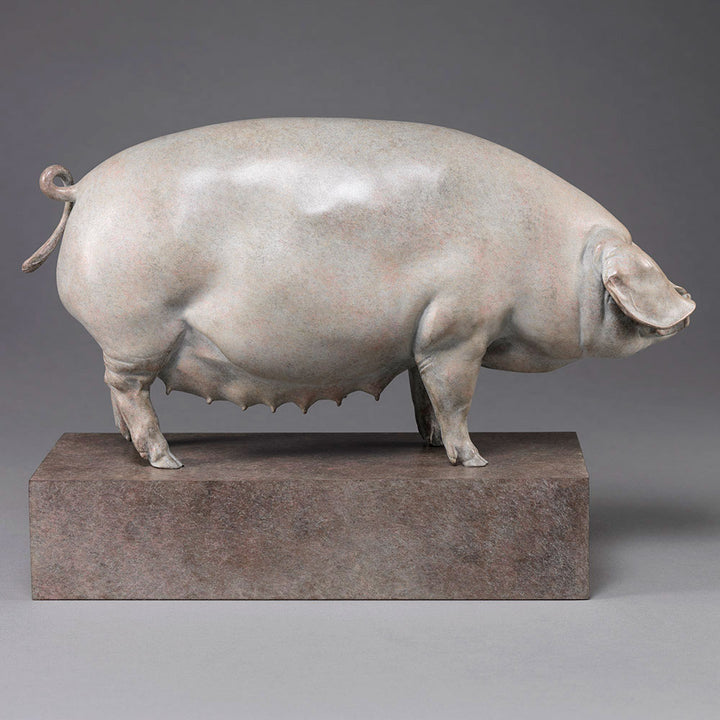 A finely sculpted bronze British Lop pig by Nick Bibby, shown with a soft white and pink-tinted patina that highlights the breed’s gentle curves, leaf-like ears and balanced form, presented on a stone-toned plinth.