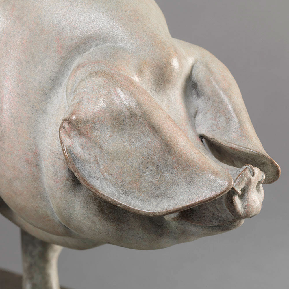 A finely sculpted bronze British Lop pig by Nick Bibby, shown with a soft white and pink-tinted patina that highlights the breed’s gentle curves, leaf-like ears and balanced form, presented on a stone-toned plinth.