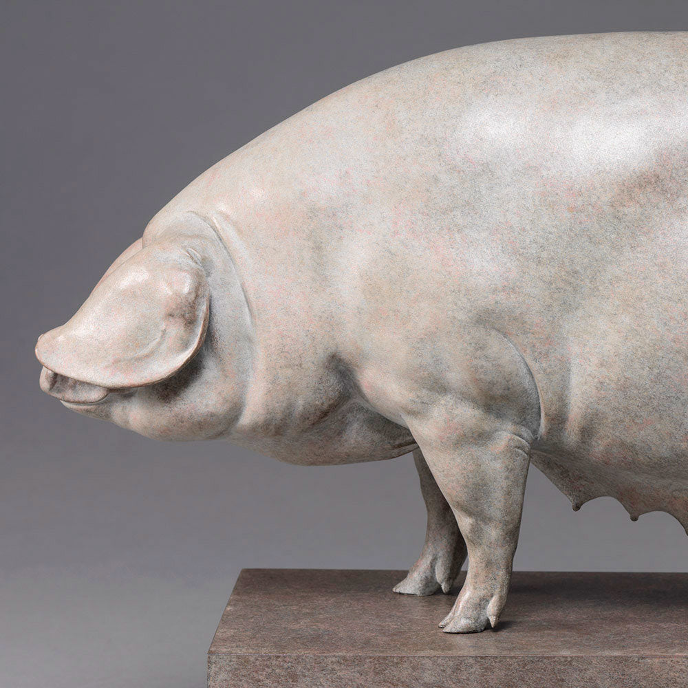 A finely sculpted bronze British Lop pig by Nick Bibby, shown with a soft white and pink-tinted patina that highlights the breed’s gentle curves, leaf-like ears and balanced form, presented on a stone-toned plinth.