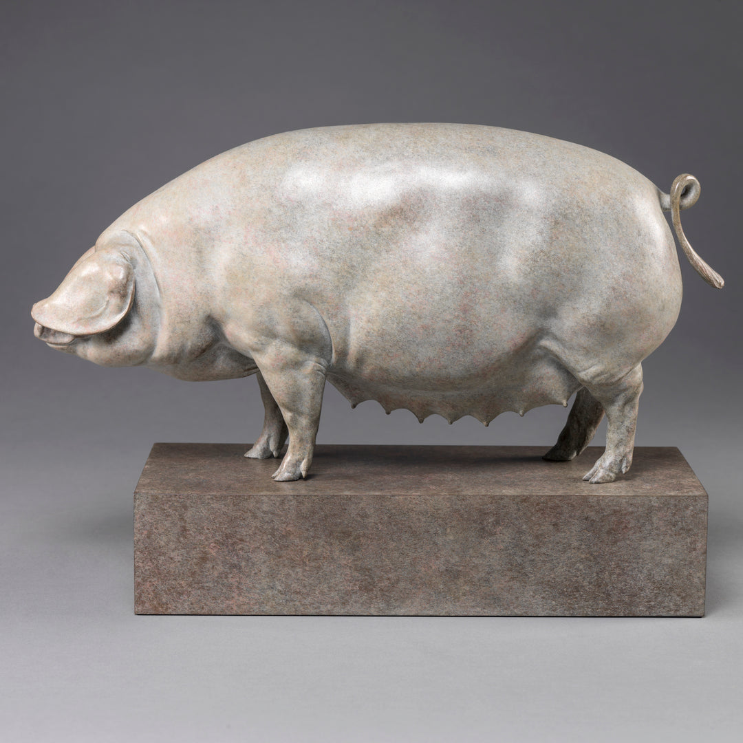 A finely sculpted bronze British Lop pig by Nick Bibby, shown with a soft white and pink-tinted patina that highlights the breed’s gentle curves, leaf-like ears and balanced form, presented on a stone-toned plinth.