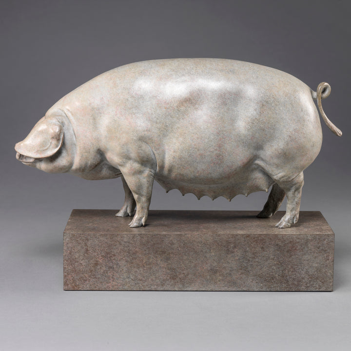 A finely sculpted bronze British Lop pig by Nick Bibby, shown with a soft white and pink-tinted patina that highlights the breed’s gentle curves, leaf-like ears and balanced form, presented on a stone-toned plinth.