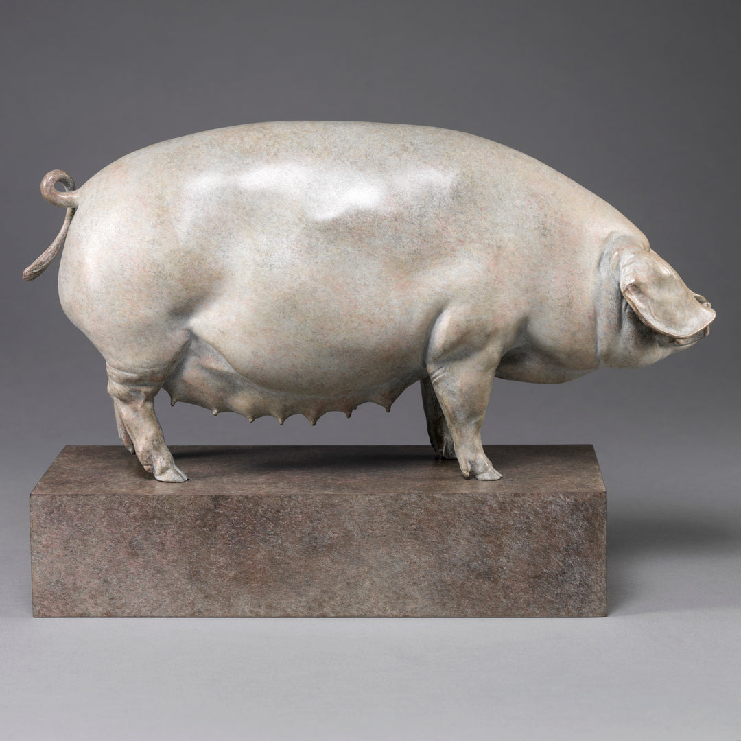A finely sculpted bronze British Lop pig by Nick Bibby, shown with a soft white and pink-tinted patina that highlights the breed’s gentle curves, leaf-like ears and balanced form, presented on a stone-toned plinth.