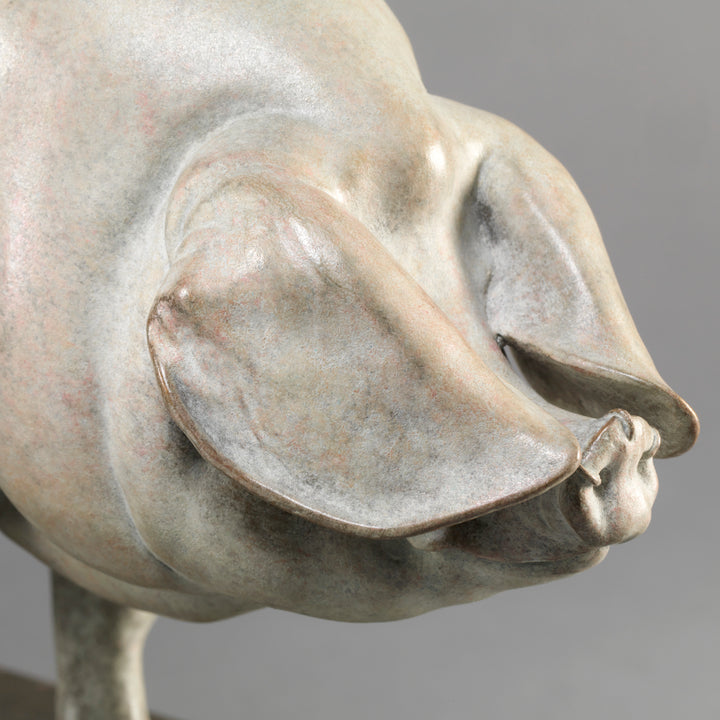 A finely sculpted bronze British Lop pig by Nick Bibby, shown with a soft white and pink-tinted patina that highlights the breed’s gentle curves, leaf-like ears and balanced form, presented on a stone-toned plinth.
